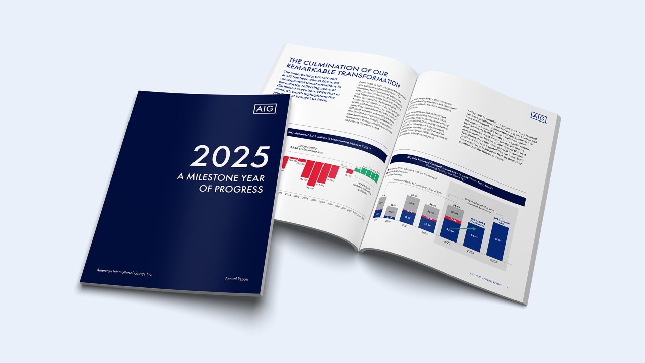 Ετήσια Έκθεση της AIG